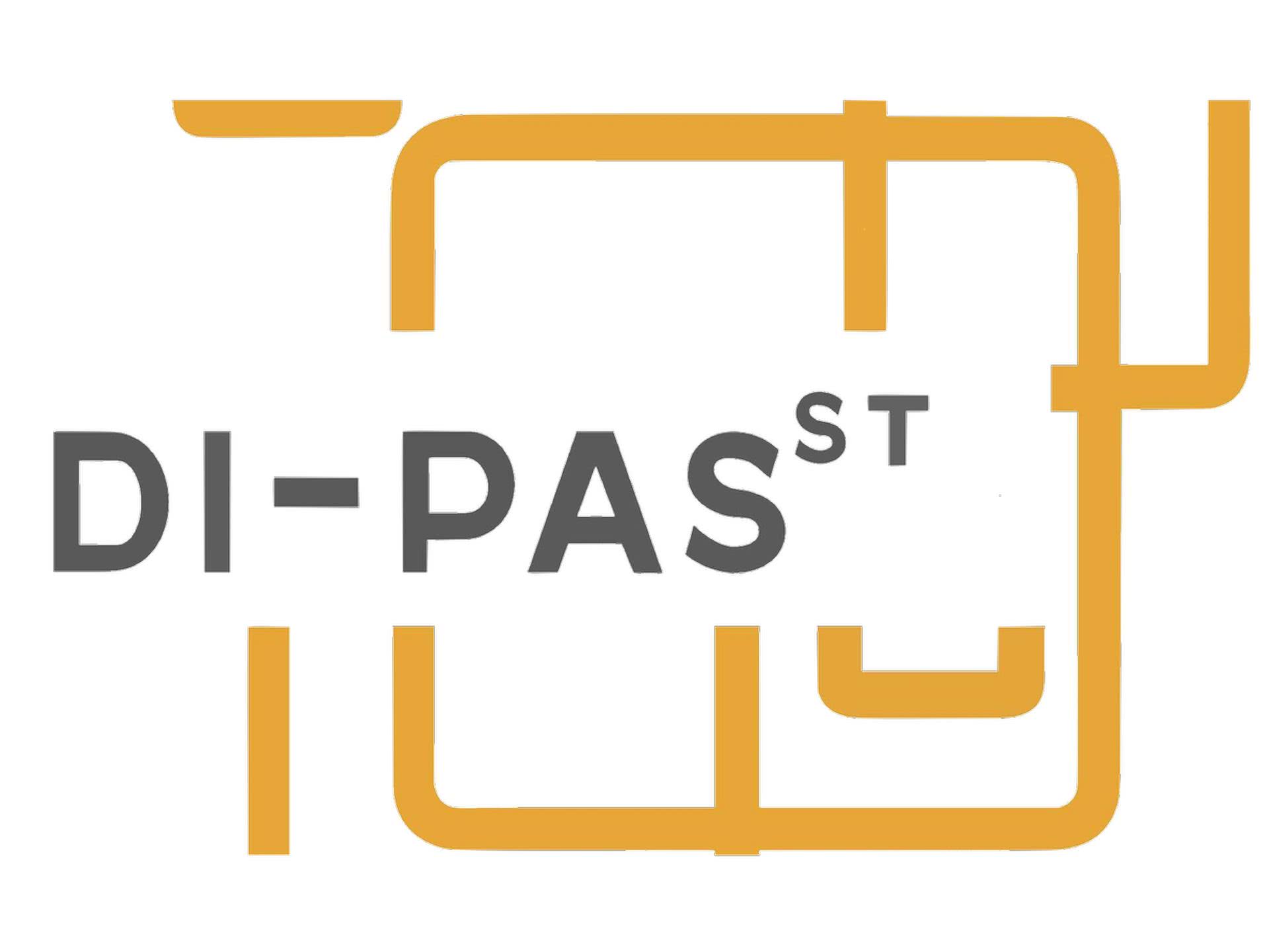 Logo DI-PASST